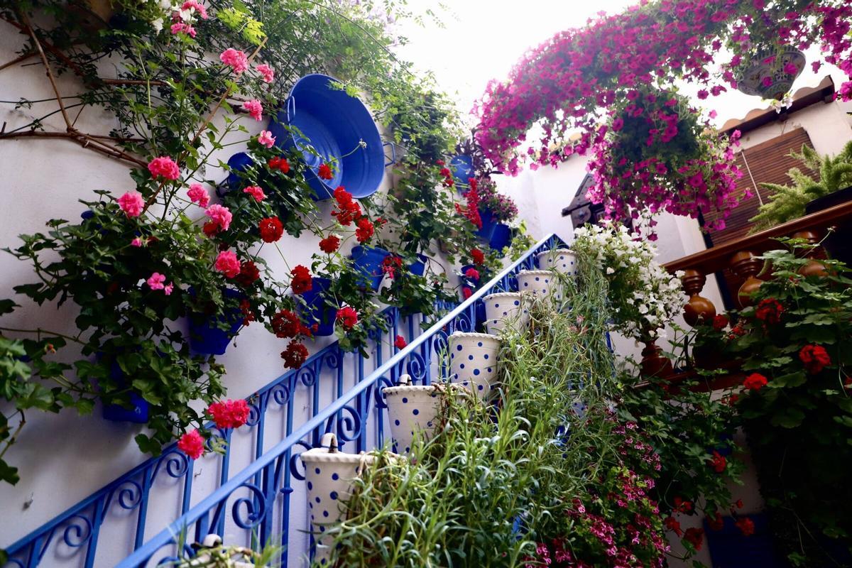 La ruta de los patios de San Lorenzo, en imágenes