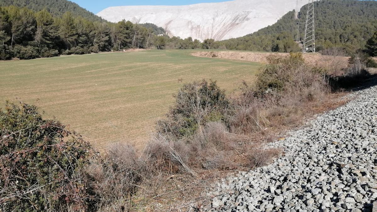 El runam del Cogulló es veu imponent des de la línia i recorda el seu origen industrial