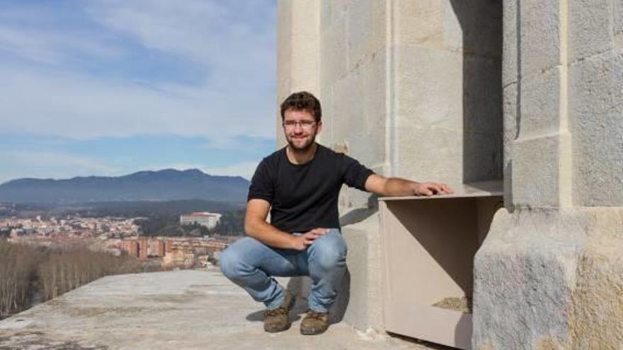 Girona instal·la una caixa niu de falcó pelegrí al campanar de la Catedral