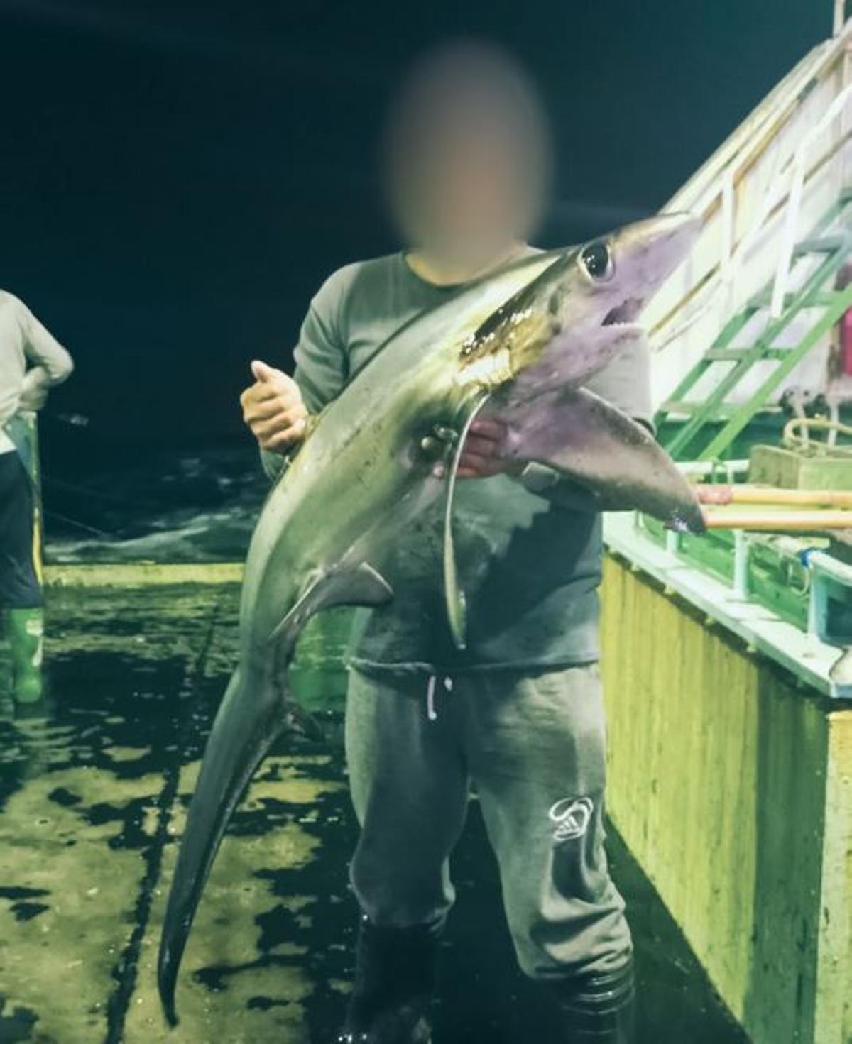 Un tripulante posa con un tiburón zorro capturado de noche.