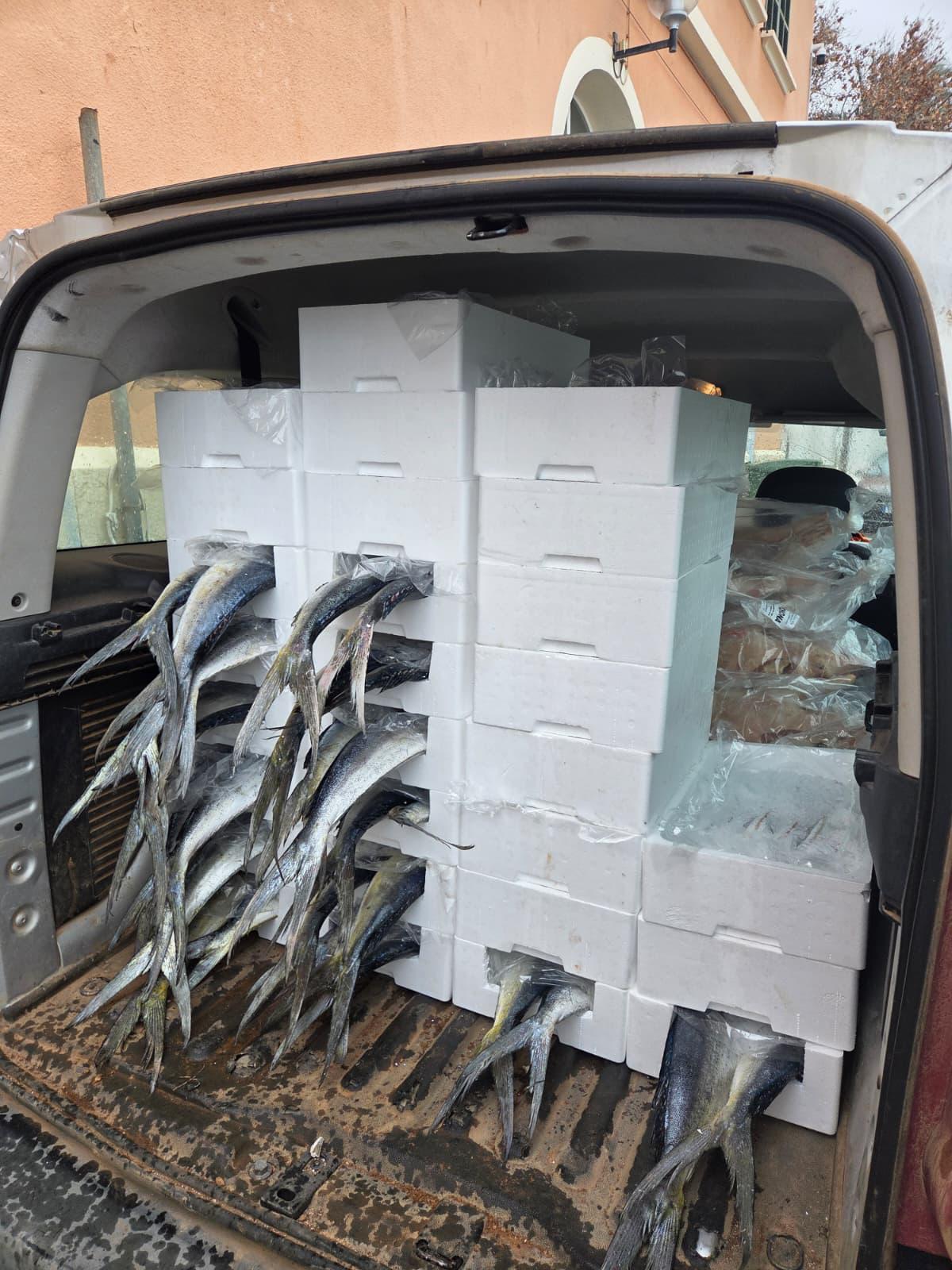 Asaja entrega 10.000 kilos de alimentos a Can Gazà