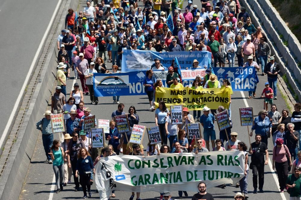 Cuentos de manifestantes se unieron a la protesta