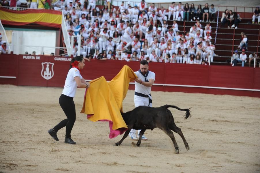 Becerrada, encierros y vaca de la sangría