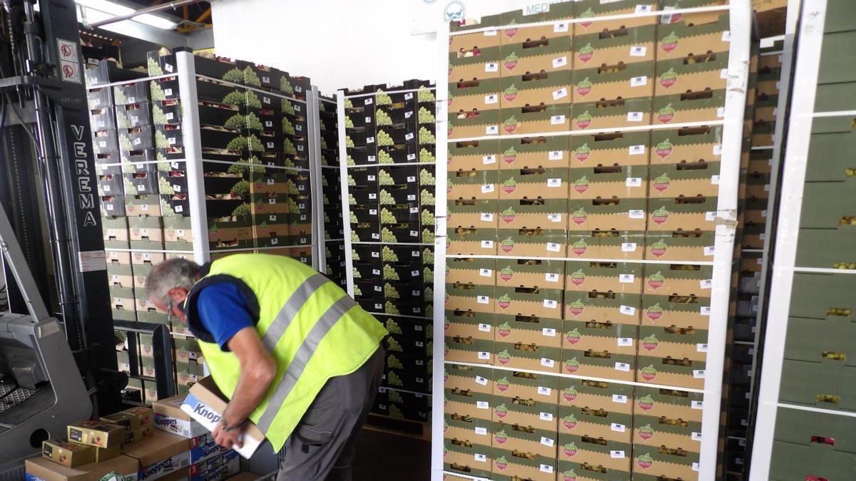 El Banco de Alimentos de Córdoba atendió en 2025 a más de 20.500 ...