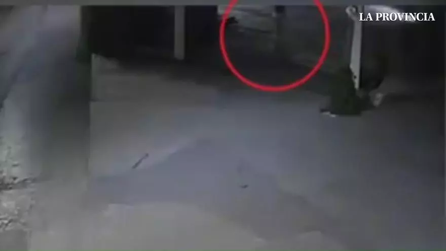 Una cámara de seguridad graba al presunto asesino de Claudia Tacoronte en México tras el mortal ataque