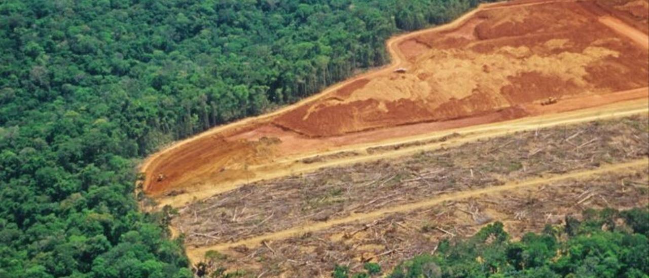 Deforestación en el Amazonas.