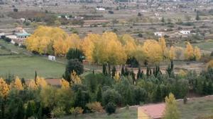 Imagen aérea del cámping municipal de Vilafranca.