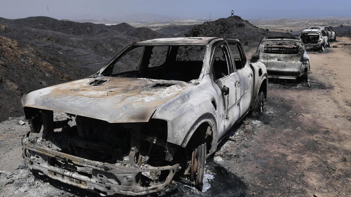 9.240 campos de fútbol: eso es lo que ha quemado el incendio forestal de Los Gallardos (Almería)