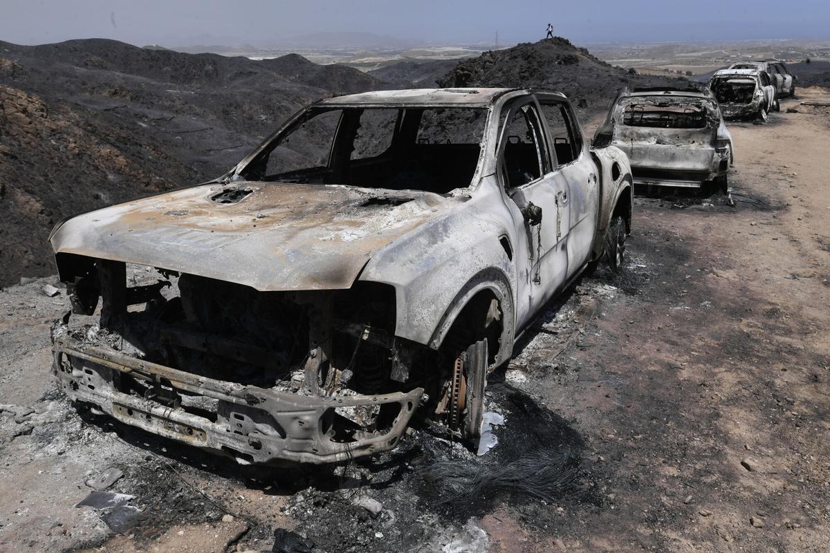 Incendio de Los Gallardos, en imágenes