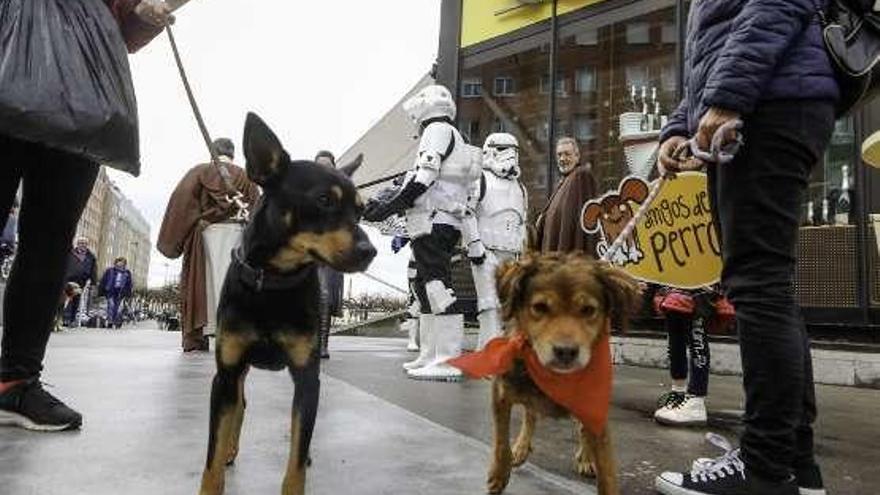 Paseo &quot;galáctico&quot; en Gijón organizado por la Fundación Amigos del Perro