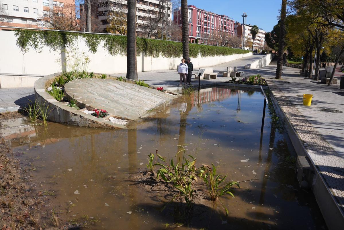 Fuente naturalizada en la avenida de los Piconeros.