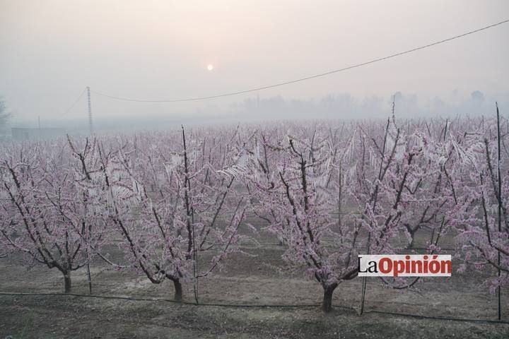 Helada del 17 de febrero de 2016 en Cieza