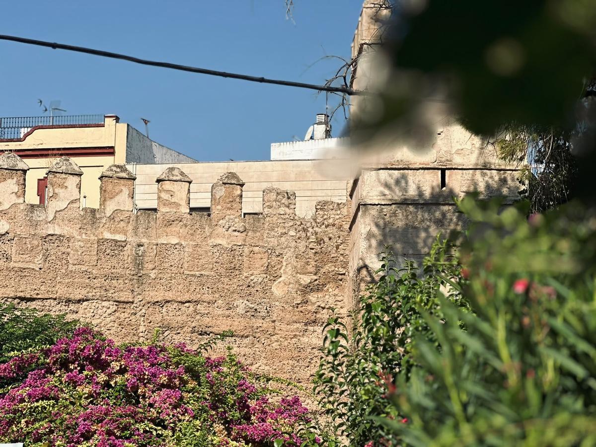 Vistas de la Muralla de la Macarena desde el Vivero Sujardín, desde donde María Dolores asegura que entran a robar.