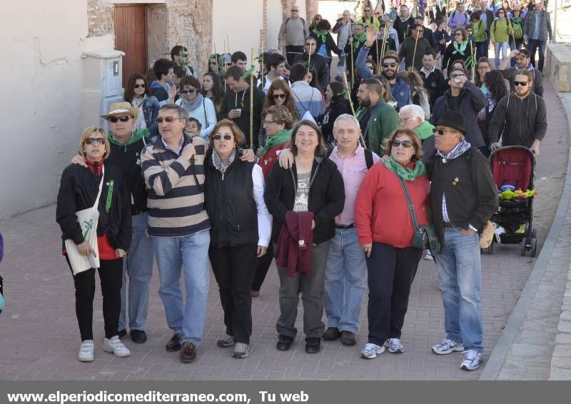 GALERÍA DE FOTOS - Romería Magdalena 2014 (6)