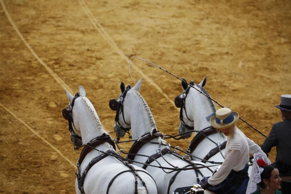 El mundo del caballo contra el cáncer