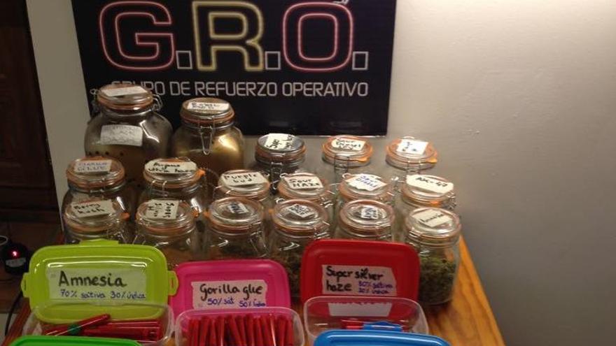 Parte del material intervenido en la asociación de marihuana