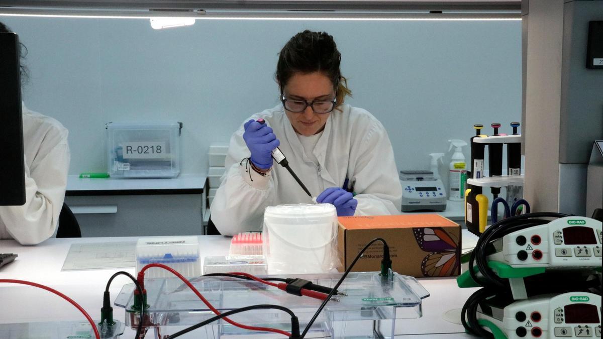 Una treballadora al campus d'Hirpa a Aiguaviva, en una imatge d'arxiu