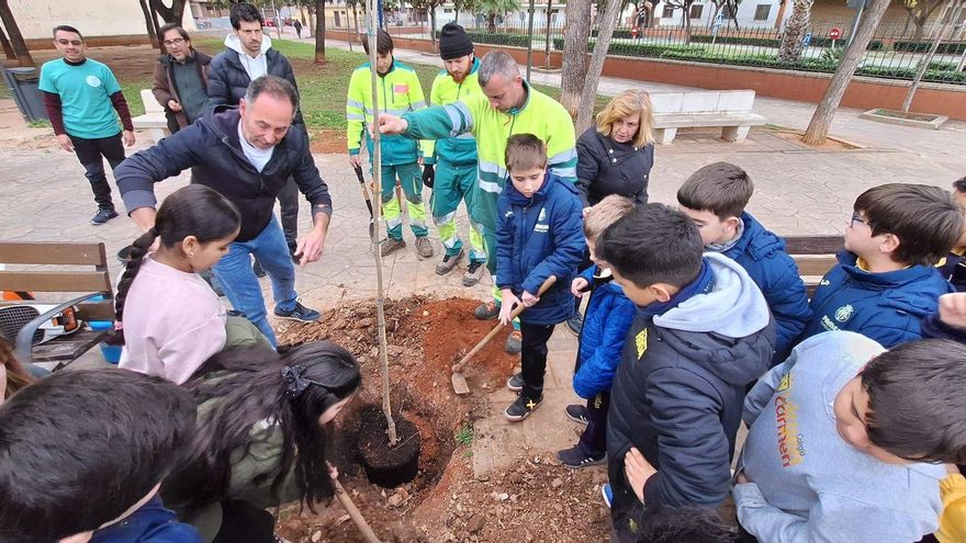 Accions i educació des de Vila-real per a tindre cura de la natura