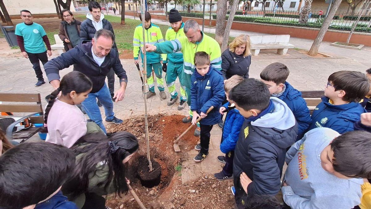 Vora 700 escolars de tots els col·legis de Vila-real participen en la Setmana de l'Arbre.