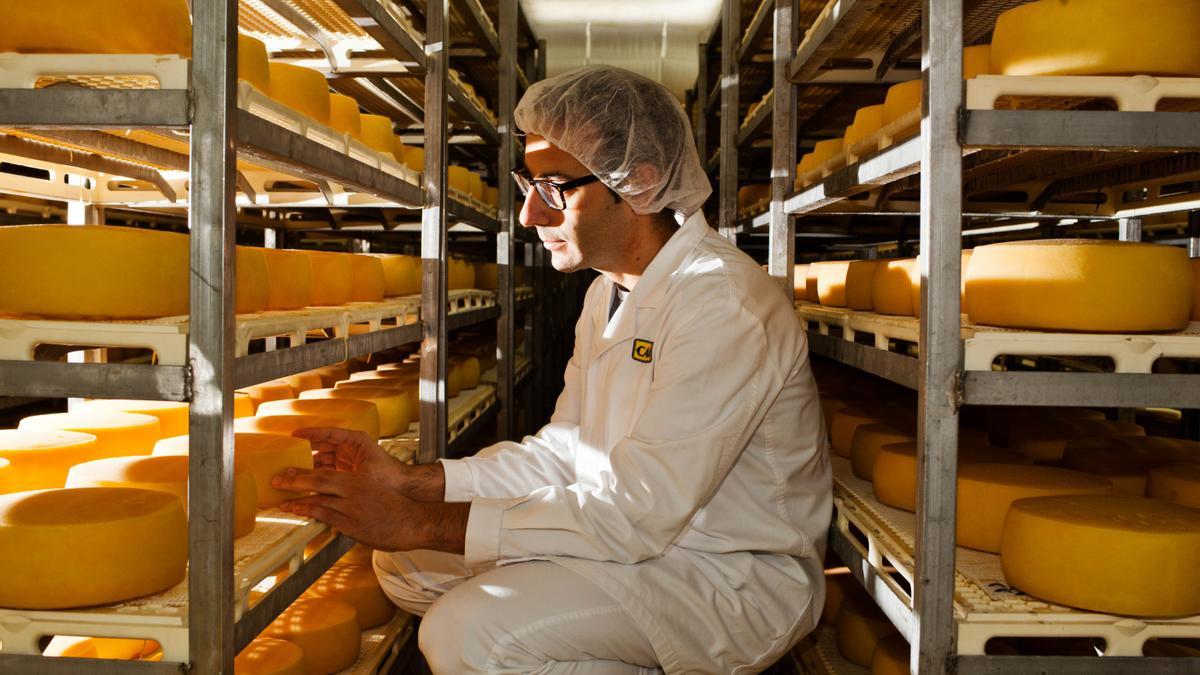 Un dels socis de la cooperativa Cadí elaborant formatges