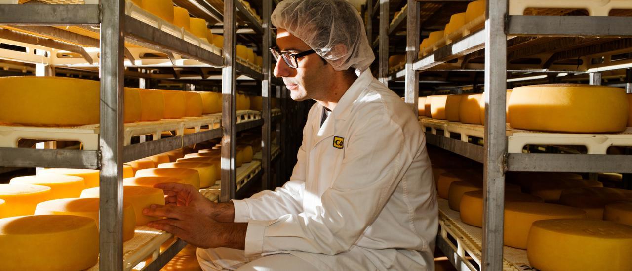 Un dels socis de la cooperativa Cadí elaborant formatges