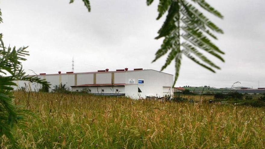 Terrenos de Trasona en los que está previsto el parque de baterías.