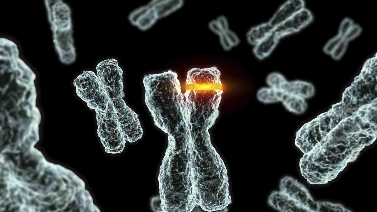En 2025, a 296.103 personas se les diagnosticará cáncer en España, según la Sociedad Española de Oncología Médica