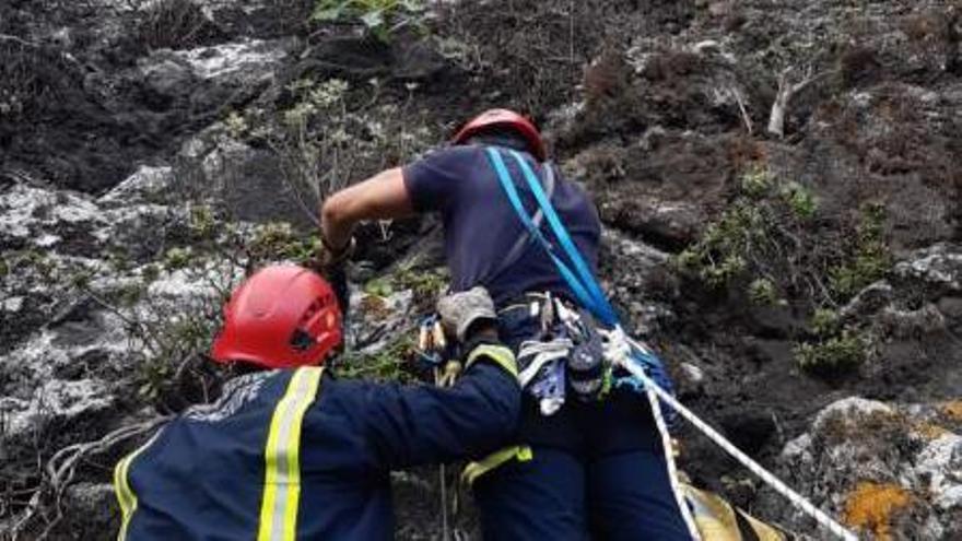 Bomberos de Icod escalan por la ladera para recuperar la vela y la silla.