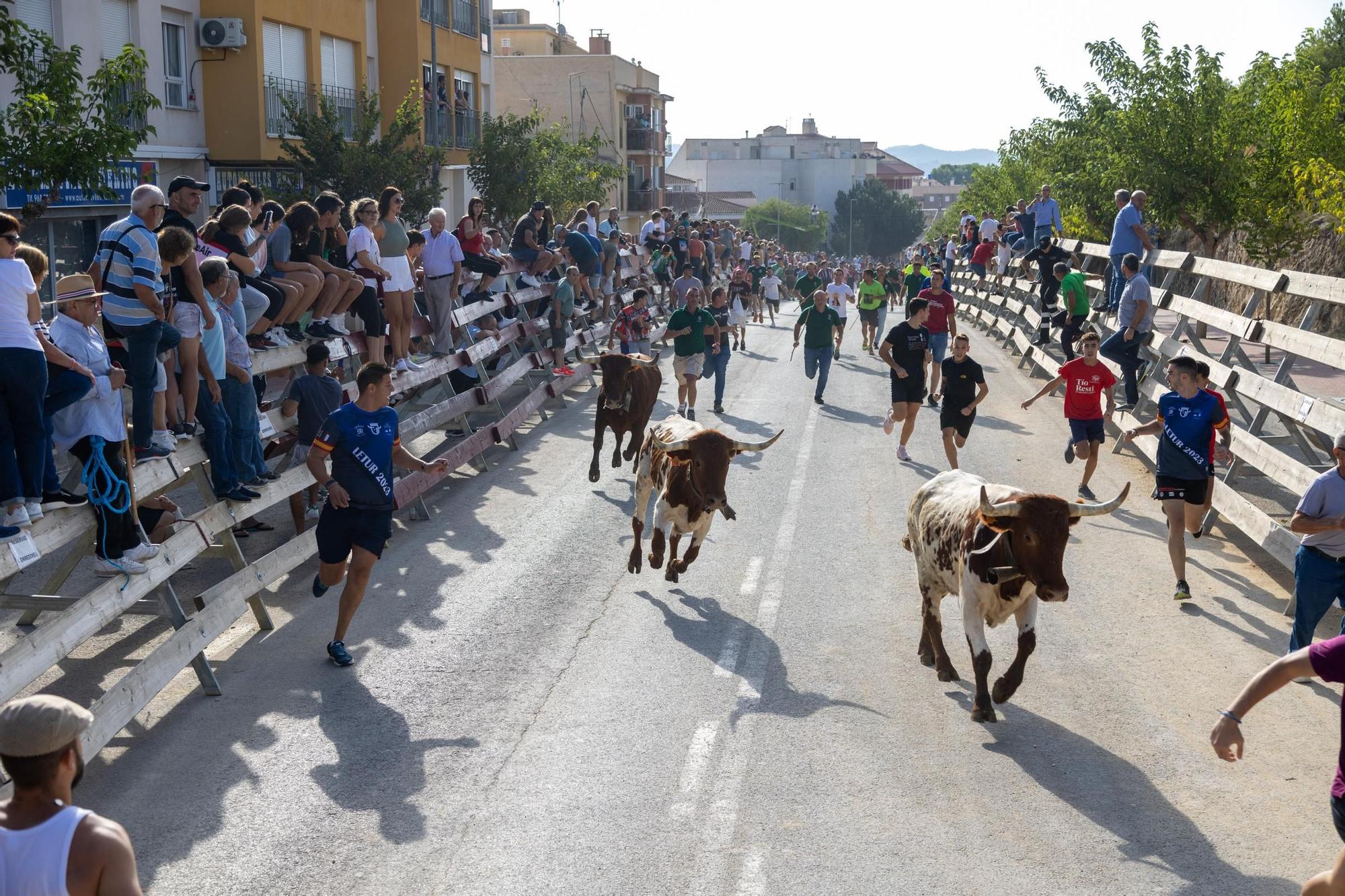 Cuarto encierro de la Feria Taurina del Arroz en Calasparra