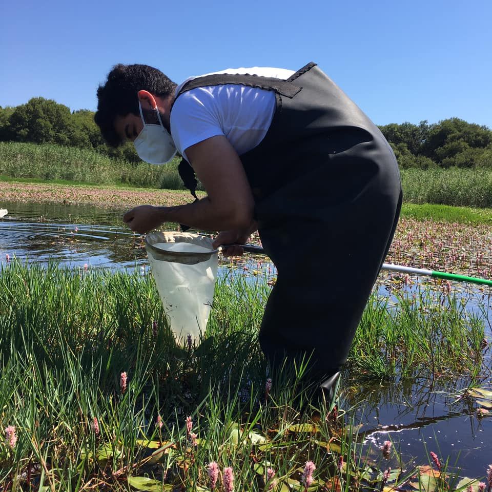 Una prospección de carácter científico desarrollada en la laguna de A Bodeira (O Grove).