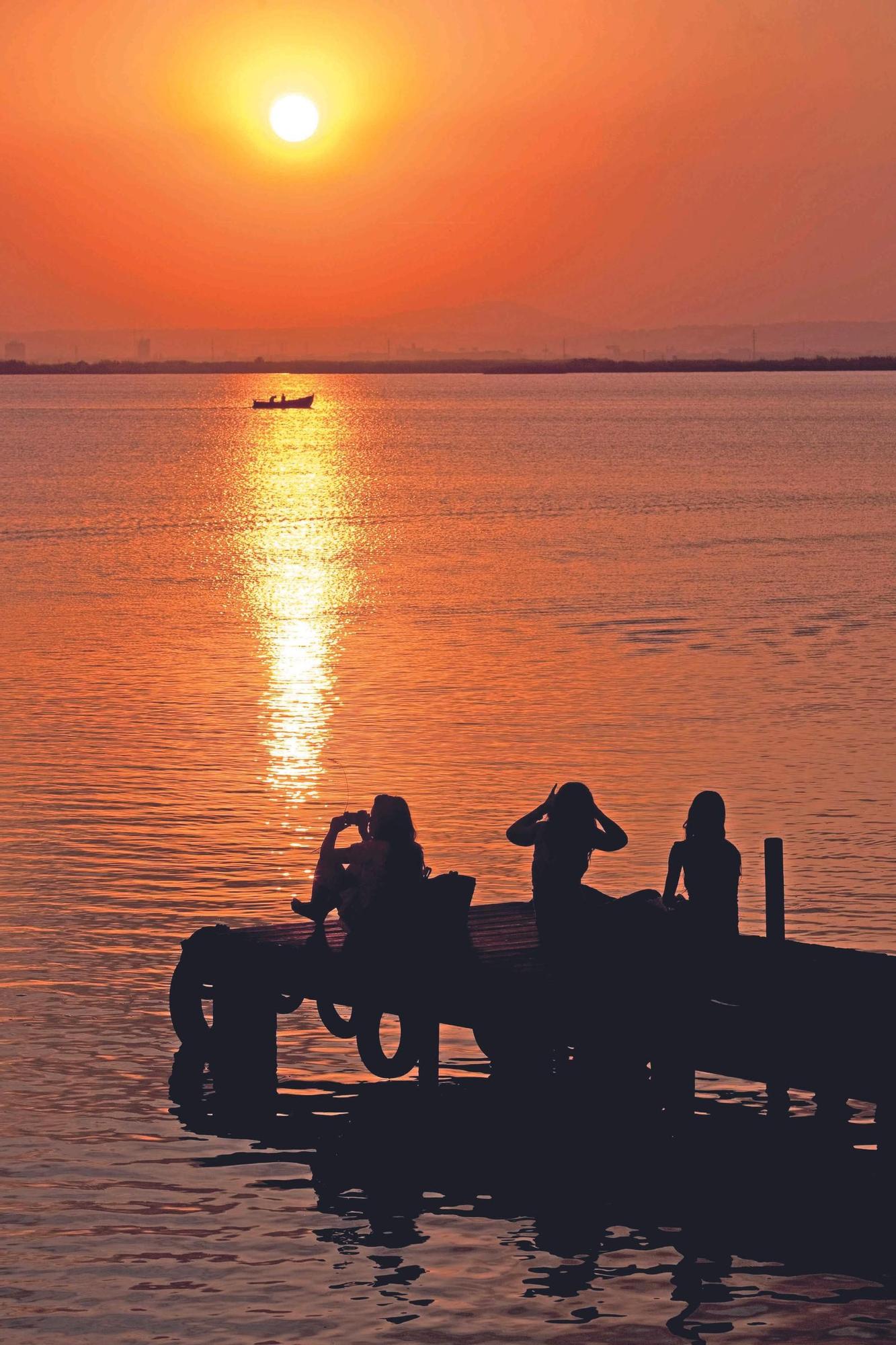 Las mejores imágenes de l'Albufera en el Día Mundial de los Humedales