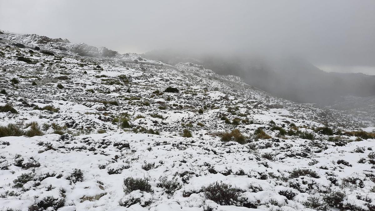 Las mejores imágenes de la nieve en la Serra de Tramuntana
