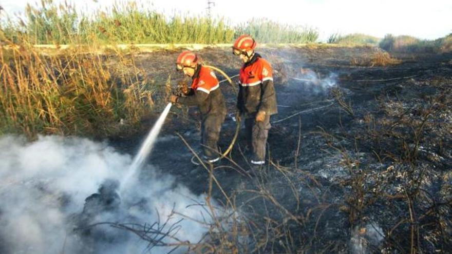 Los bomberos sofocaron el fuego que se declaró en el Parque Natural de El Hondo.