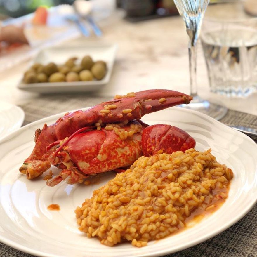 Plato - Bardot Food