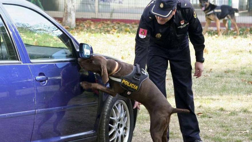 Un policía con un perro adiestrado para ayudarles en ciertas investigaciones.