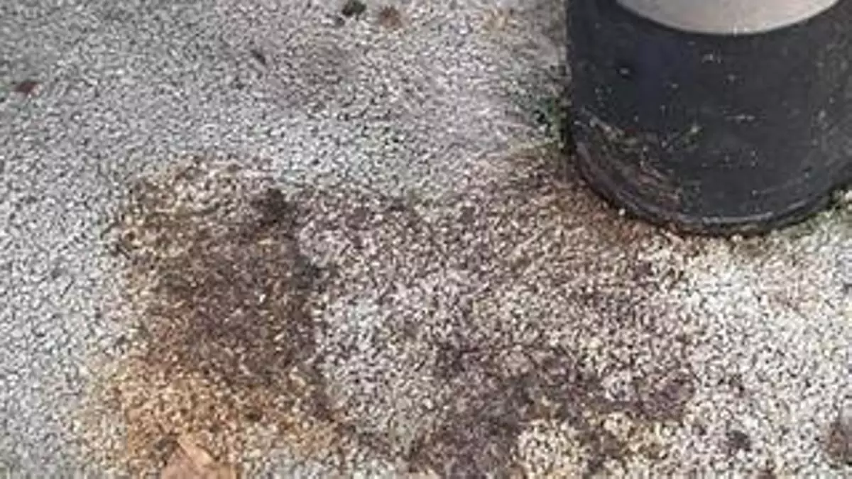 Bancos rotos, juegos quemados y un excremento humano en un tobogán: el estado de un parque infantil