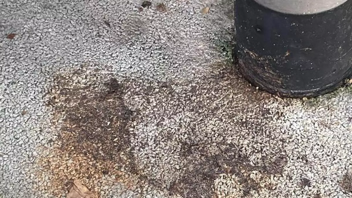 Bancos rotos, juegos quemados y un excremento humano en un tobogán: el estado de un parque infantil