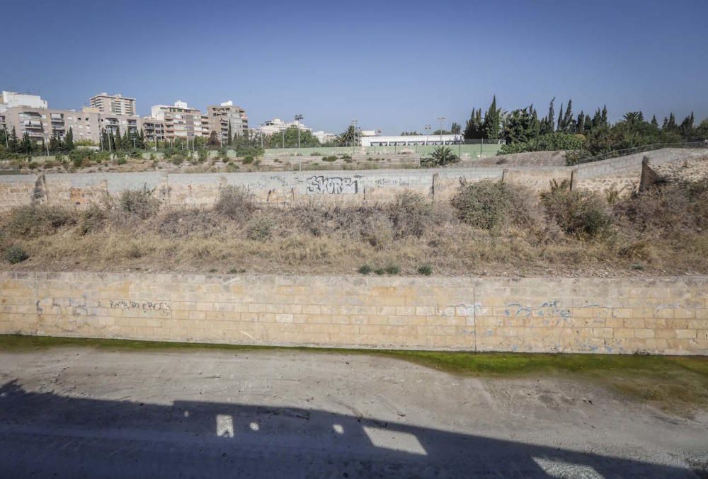 El futuro bosque urbano de Palma, en marcha