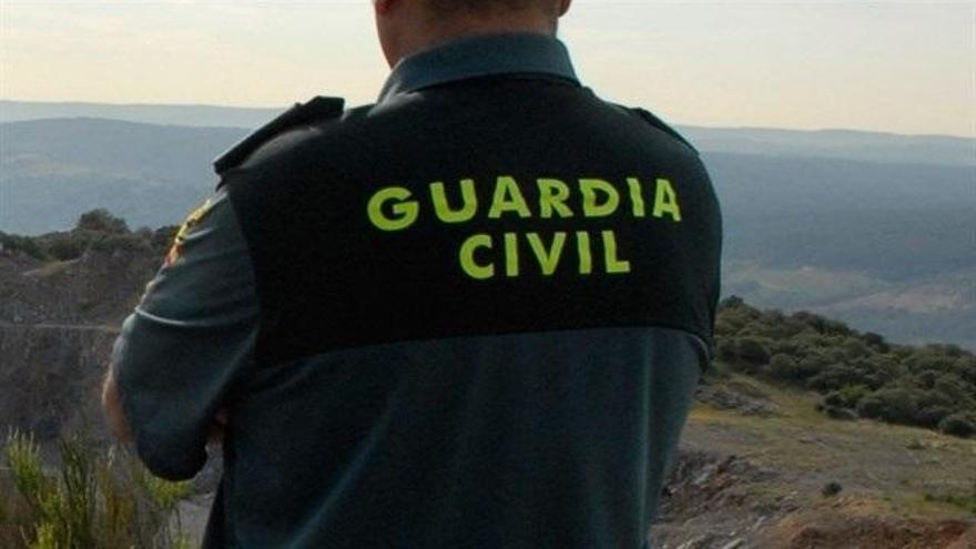 43 detenidos por fraude de más de 25 millones en Castelló