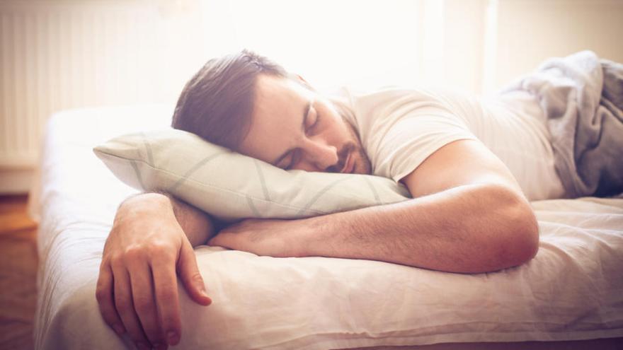 Las personas adultas duermen una media de 7 u 8 horas.