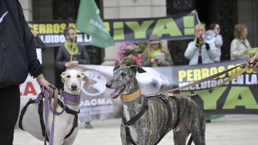 Pacma reclama incluir los perros de caza en la Ley de Bienestar Animal en su concentración en A Coruña