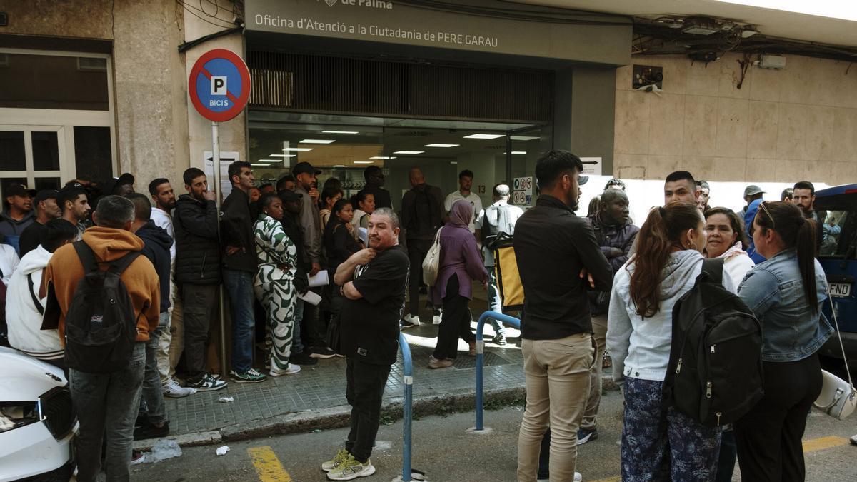 VÍDEO | Tensión por la regularización en Mallorca: peleas y largas colas en la oficina de Pere Garau