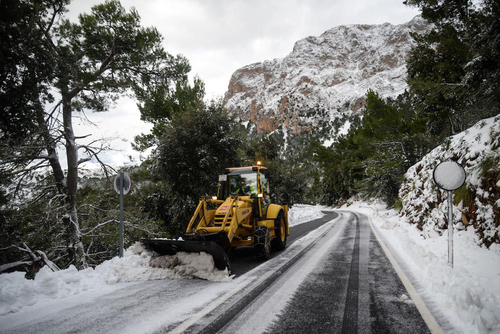 Der frühe Schnee hat am Samstag (2.12.) zahlreiche Insulaner in die Tramuntana gelockt, wo es die seltene Gelegenheit zu Schneeballschlachten oder zum Bau von Schneemännern gab.