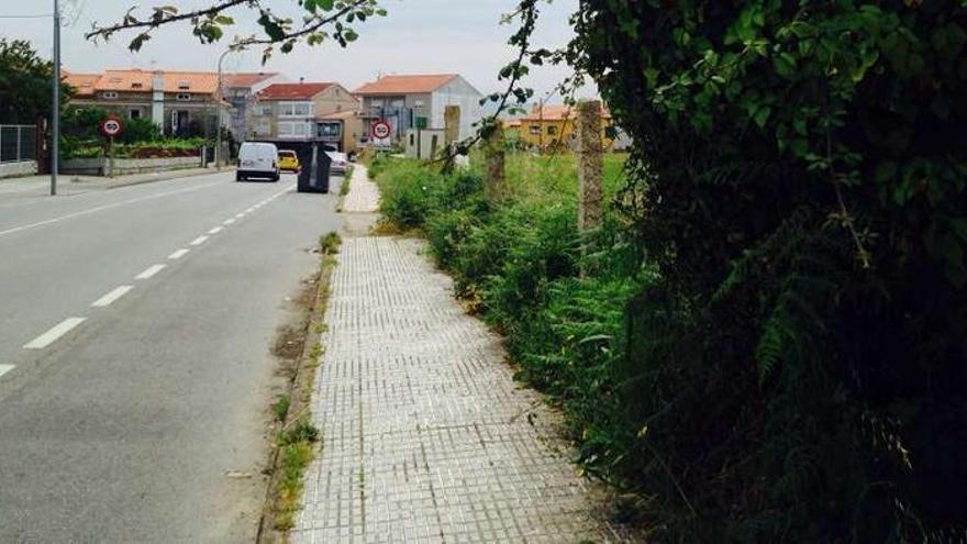 Quejas por la invasión de maleza en las aceras en Vilalonga