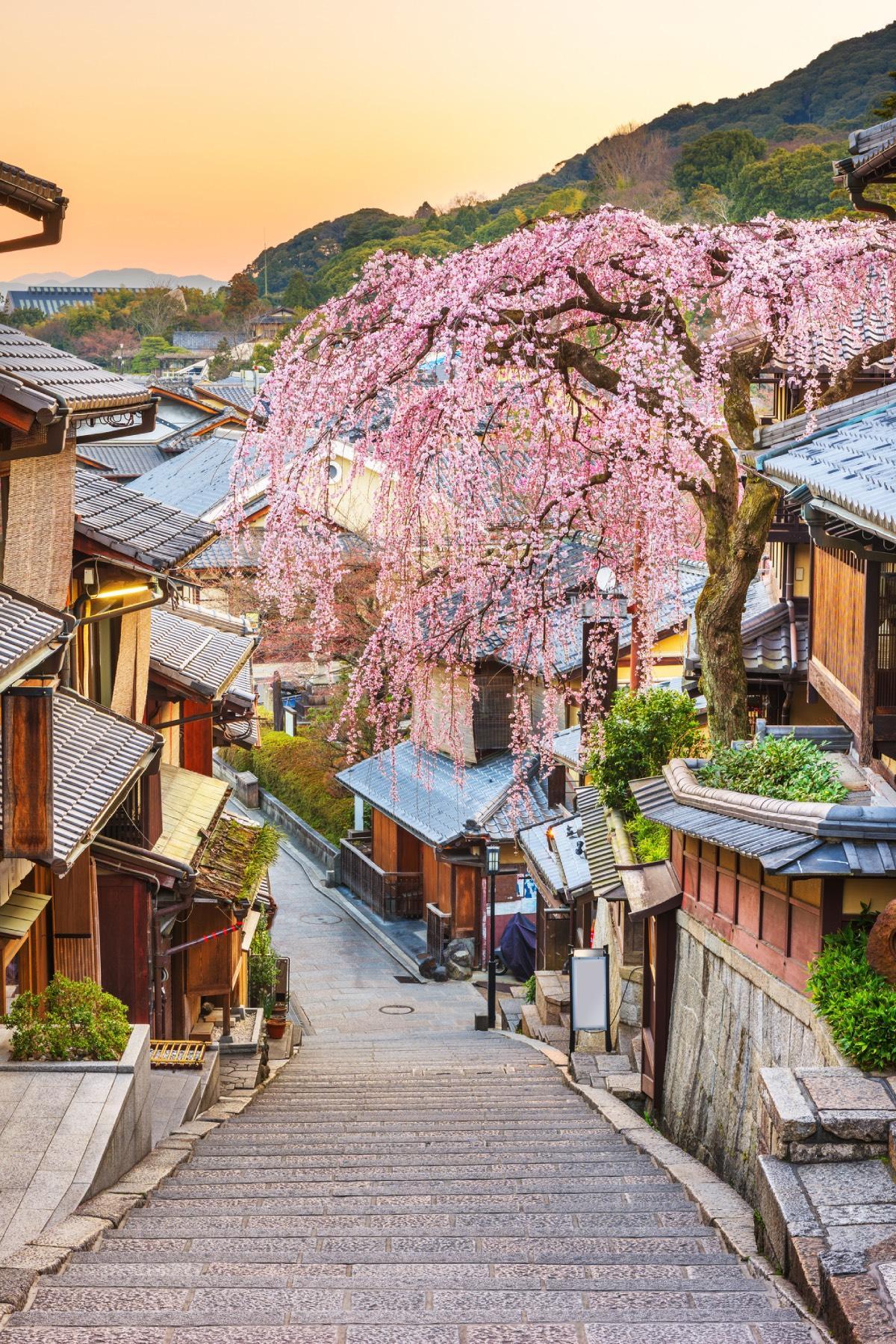Kyoto (Japón)