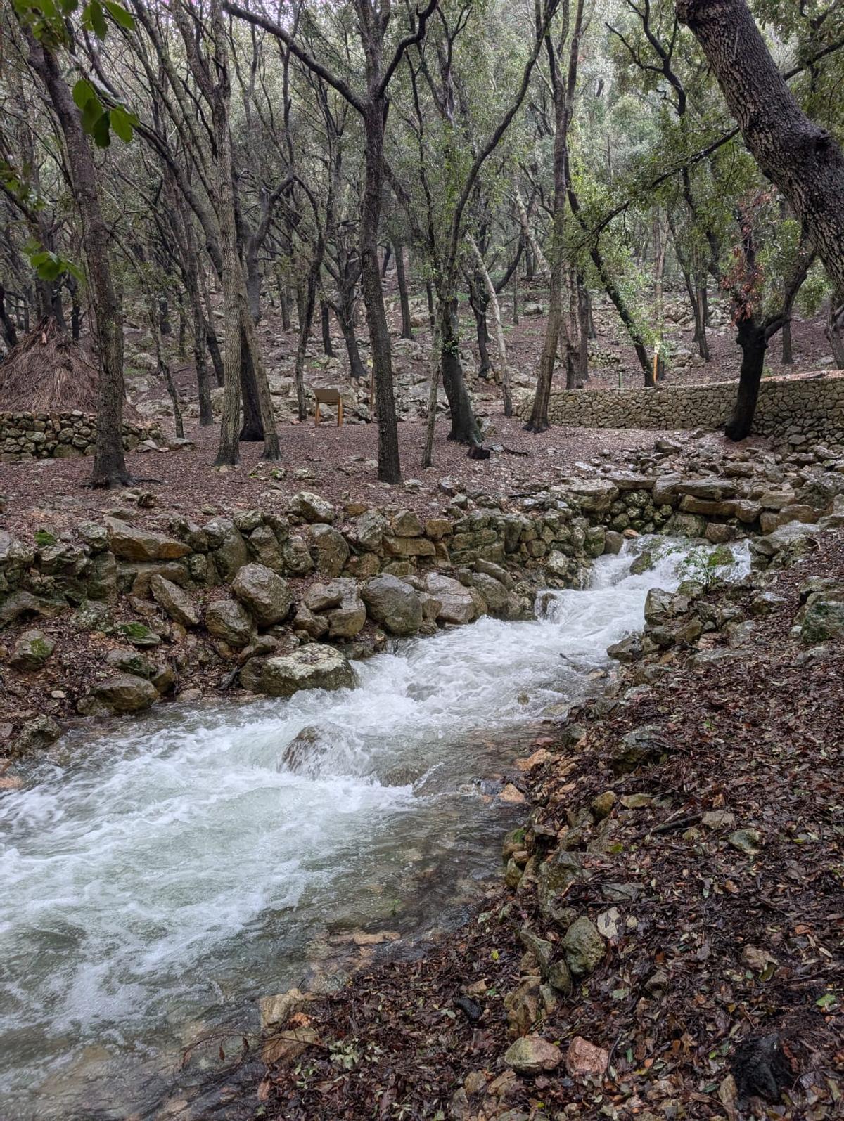 Ses Fonts Ufanes esta mañana. Ses Fonts Ufanes esta mañana.