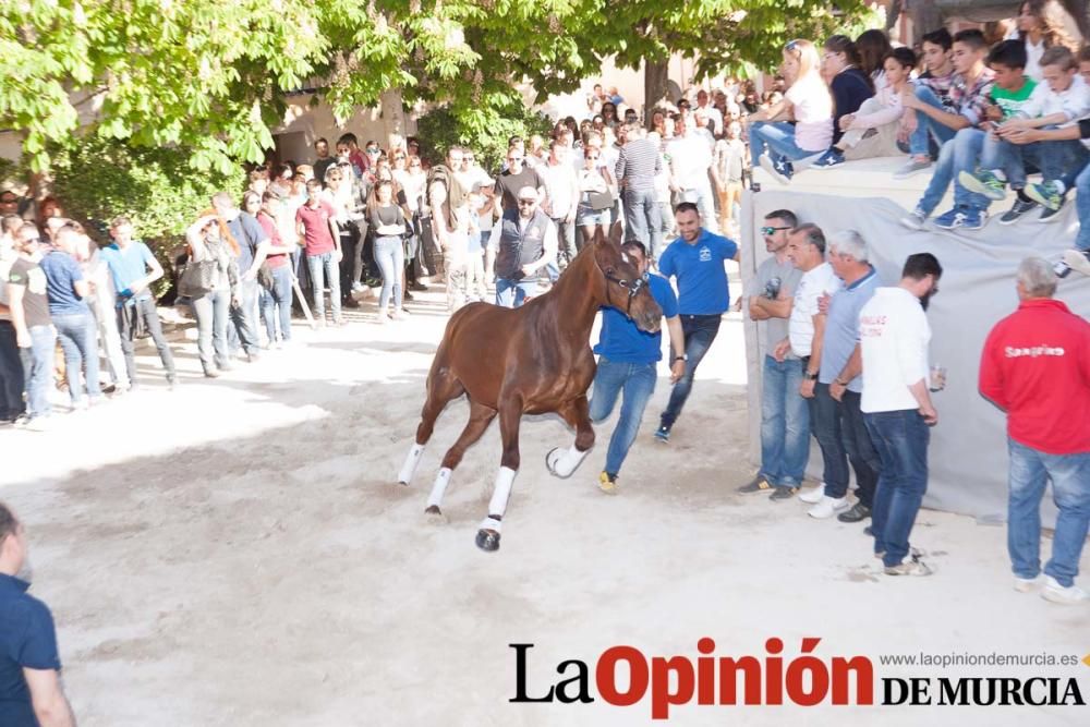 Día uno de mayo, entrada de caballos al Hoyo