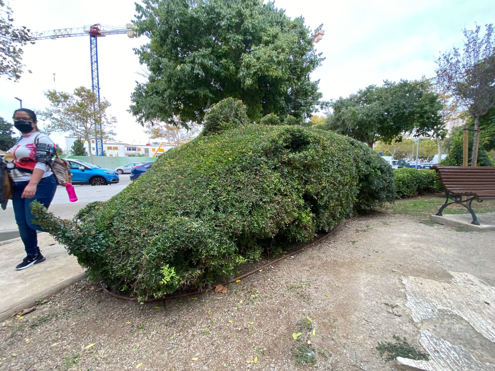 Las imágenes del jardín de los dragones de Nou Llevant