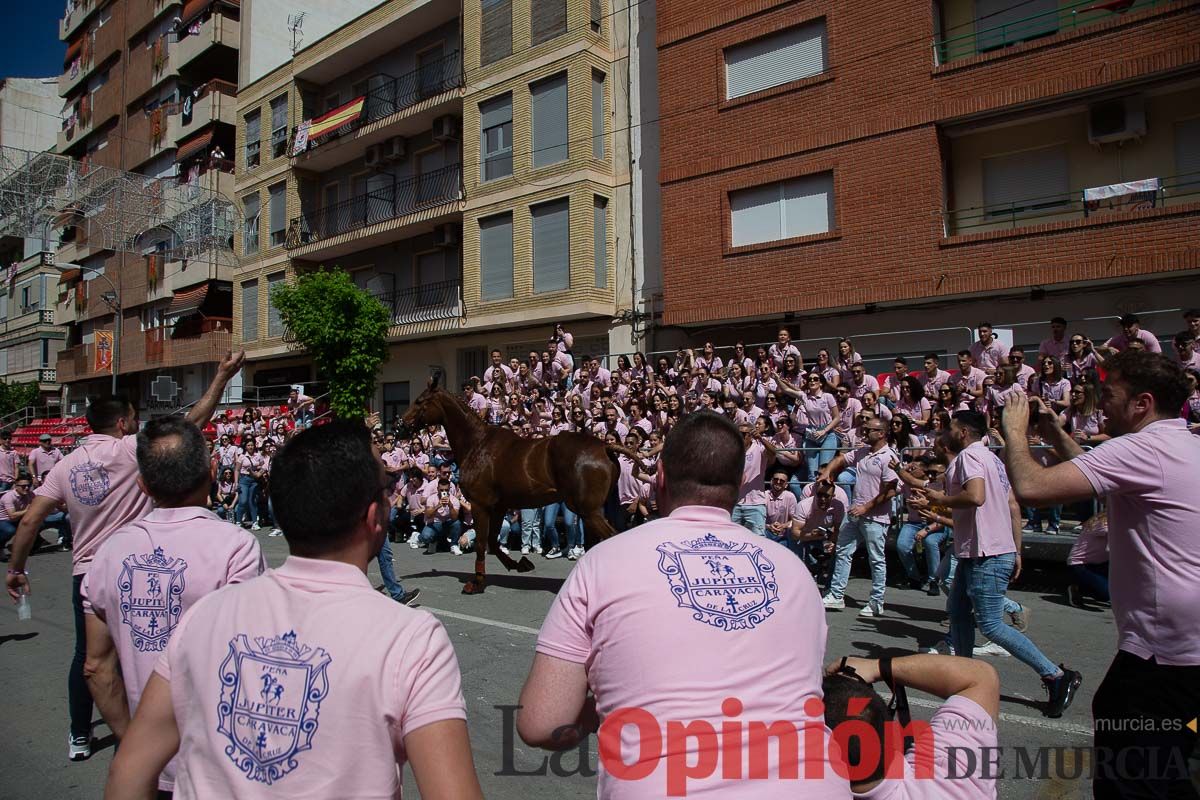 Pasacalles caballos del vino al hoyo