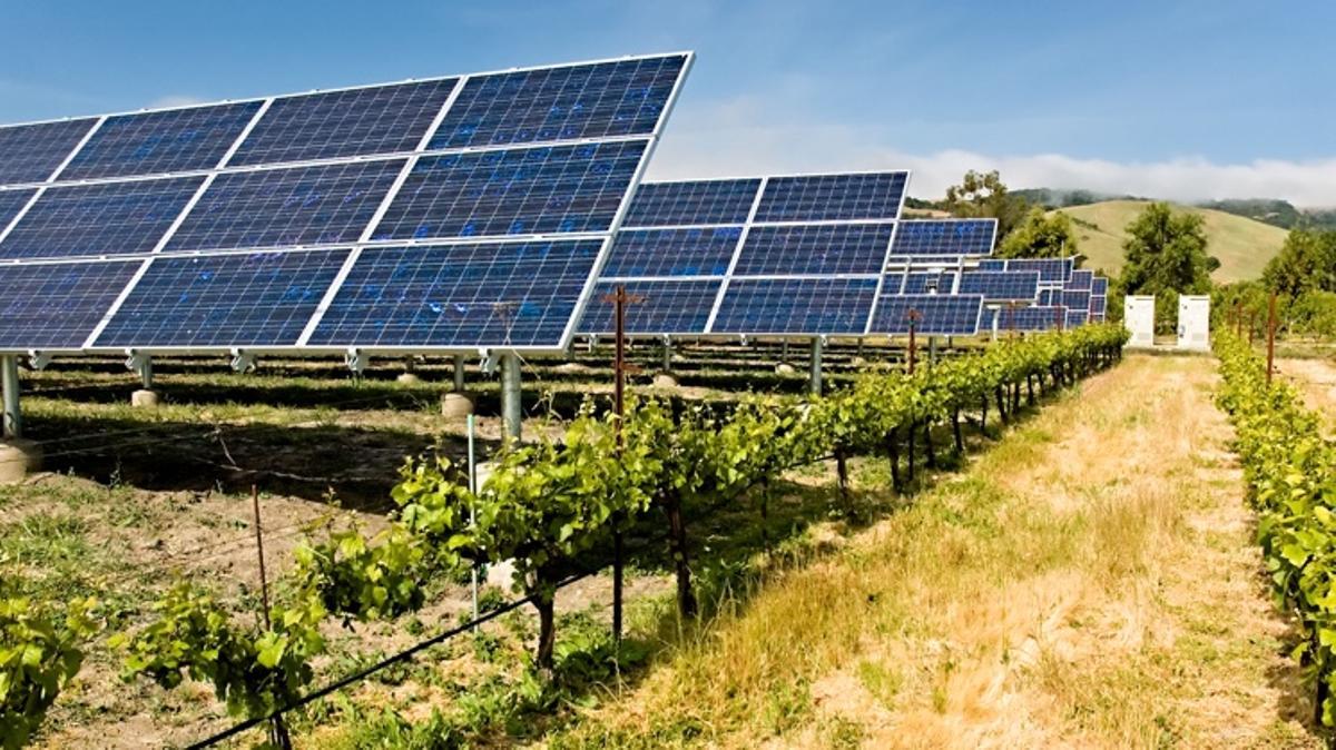 Energia Agrovoltaica